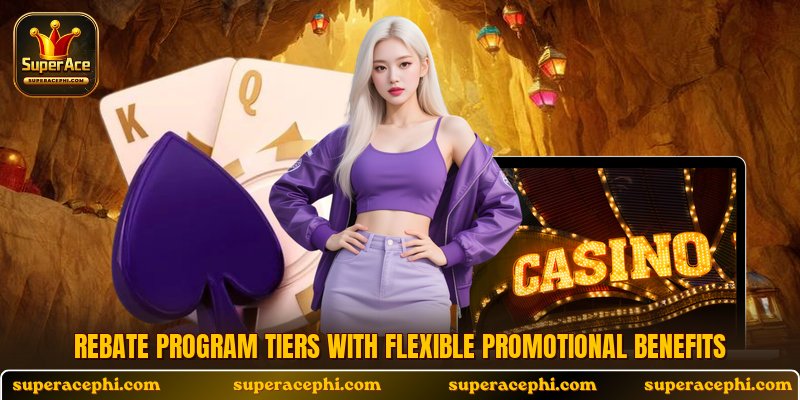 Rebate program tiers with flexible promotional benefits